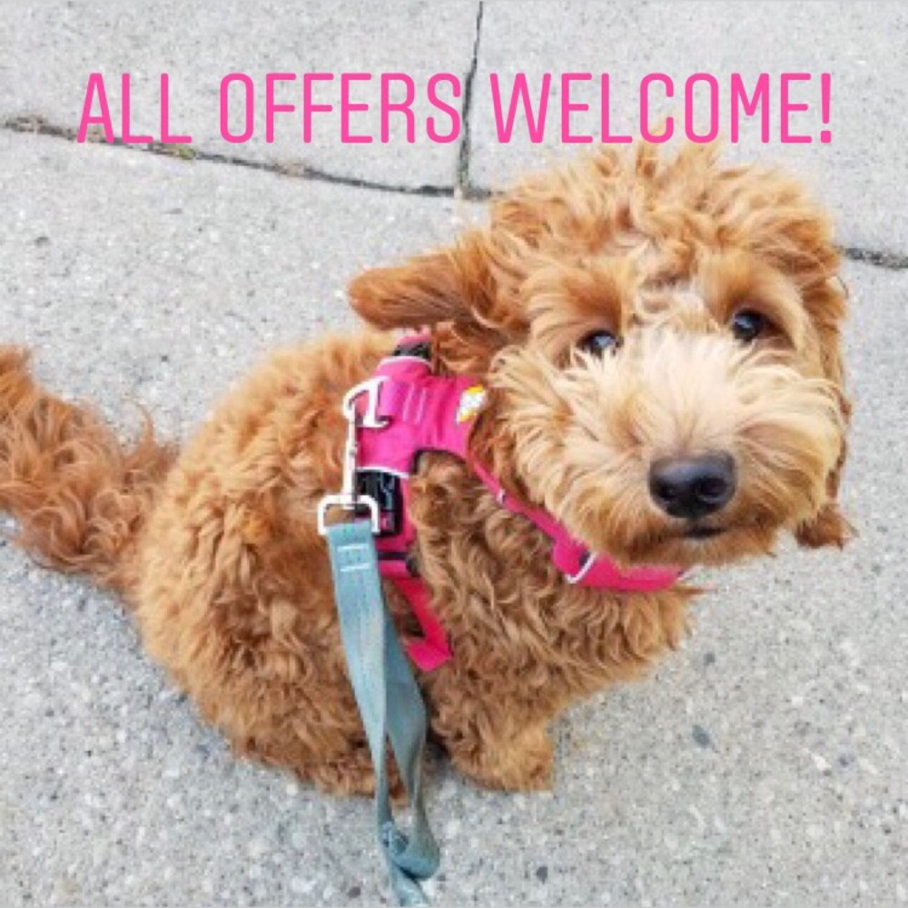 All offers welcome!